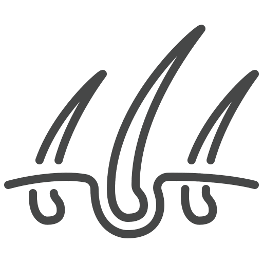 Follicle Revival Boost